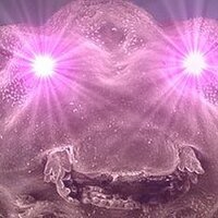 nefo bot (@nefo_bot) 's Twitter Profile