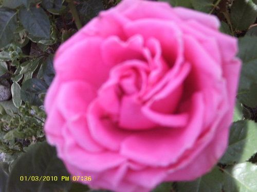 Just beginning to aquaint myself with blogging and enjoying the internet.  I love life, family, friends and celebrations.