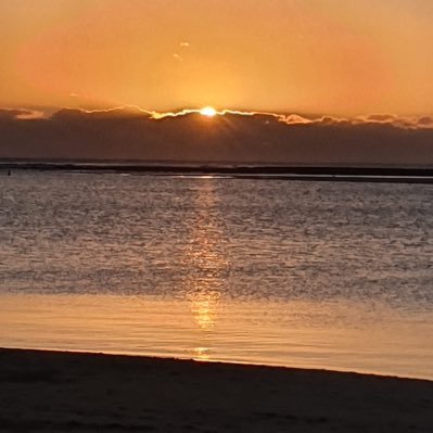 Rosemary01604's profile picture. Freedom Fighter 🌸 #Resist #Defy #DoNotComply