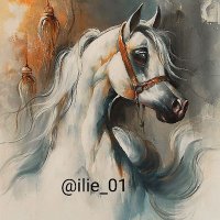 heart❤ (@ilie_01) Twitter profile photo