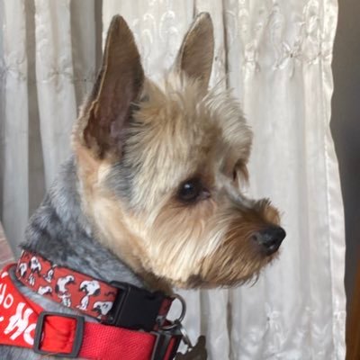 CMIRANDA68's profile picture. Amante de los Caballos, el Vino y el Campo