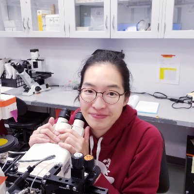 Muscle mechanist & physiologist. Postdoc at @uarizona
Obsessed with titin and its role in muscle contraction and force generation.
🇰🇷 - 🇨🇦 - 🇩🇪 - 🇺🇸 - ?
