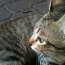 Alan Gan - @xezis - Twitter