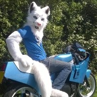 Lost white wolf(@Lostwhitewolf3) 's Twitter Profile Photo