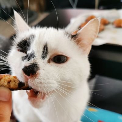 EmeryneC's profile picture. łŦ  ЏФU  ÐЯΞΛM  łТ  , ЏФU  ϾΛЛ  ÐФ  łТ 🌠