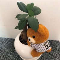 sakuraはな (@ulnhxxb7ckwixmr) 's Twitter Profile