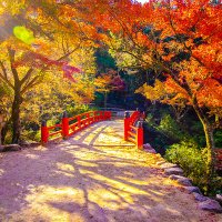 nanasizu@旅中 (@niceboathime) 's Twitter Profile