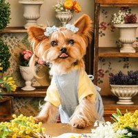 2016. ゆきそらページ キキ (@sora2999) / X