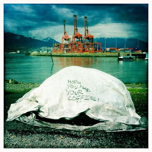 WillRendall's profile picture. 