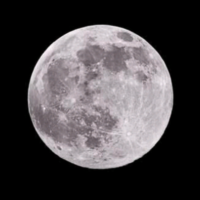 9indickstroker's profile picture. 