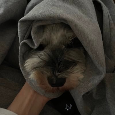 yt22_m's profile picture. 