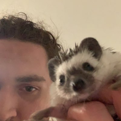 CarlPerko's profile picture. Repurposed twitter account for following developers and challenging myself by posting my programming progress. Always looking for feedback!