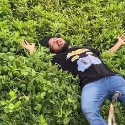 owkeyframe's profile picture. sometimes overhyped abt dev related stuff