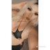 Kristen (@kristenjolenee) Twitter profile photo Kristen (@kristenjolenee) Twitter profile photo