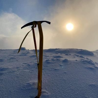 TroyEll59424976's profile picture. 