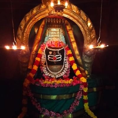 9VDsCsOe1AMzmgd's profile picture. தீக்குள் விரலை வைத்தால் நந்தலாலா – நின்னைத்
தீண்டும் இன்பம் தோன்றுதடா நந்தலாலா”