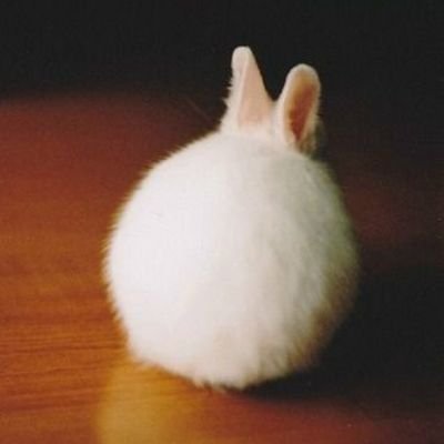 은한 銀漢さんのプロフィール画像
