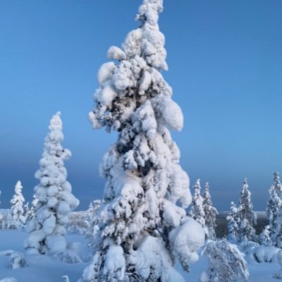 Im_PFS's profile picture. 