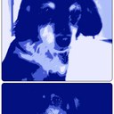 Coco - @coco_diane - Twitter