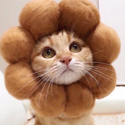 nozoo_55's profile picture. 映画（MCU etc.）/ 音楽（ROCK etc.）/ お笑い/ Graphic Design / 鈍感力抜群の好奇心旺盛w