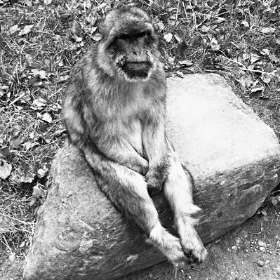 _waam's profile picture. 