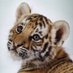 Wilma Eriksson (@mc_tiger797) Twitter profile photo
