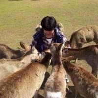 m_hideshi（ひでさん） (@m_hideshi) 's Twitter Profile