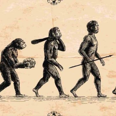 inVestedInterst's profile picture. On a journey of componding