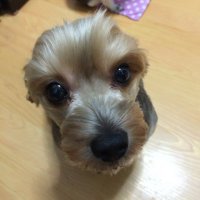 연두별(@mariejadu) 's Twitter Profile Photo