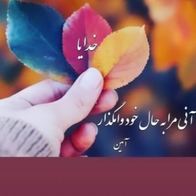 1382Amirhossein's profile picture. زندگی زیباست