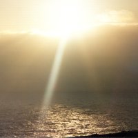 David Parker (@davidp14798590) 's Twitter Profile