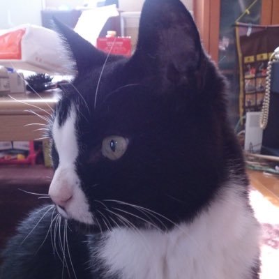 6y5kR11NMRBBGtS's profile picture. 