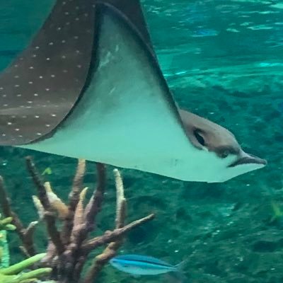 てぃあさんのプロフィール画像