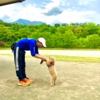 ビギナー配達員🏍️UE横浜 ver.5 (@yokohamaue_adv) 's Twitter Profile