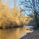 Leo Wright - @LeoWrig14902859 - Twitter