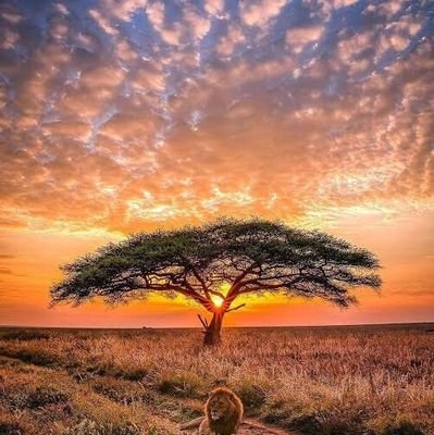 BoslugaM's profile picture. Yorumlarim anayasal haktir. Dusunce ve ifade ozgurlugu cercevesindedir. Kimseye zorla birsey empoze edilmemektedir. Kesinlikle hakaret teskil etmemektedir.