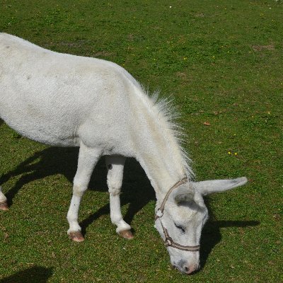 RobertKM2's profile picture. 