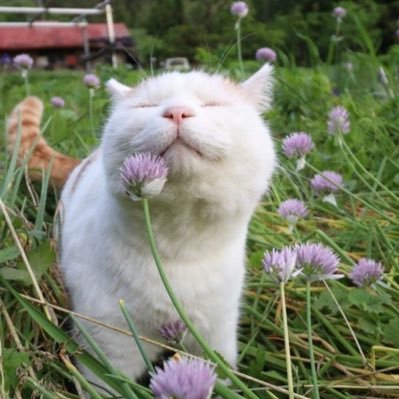 marringuee's profile picture. 