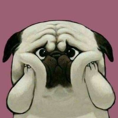 Alcoholic pugさんのプロフィール画像