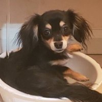 yt52094 (@yt52094) 's Twitter Profile Photo yt52094 (@yt52094) 's Twitter Profile Photo
