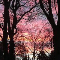 merelar (@merelar) 's Twitter Profile Photo