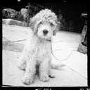 Ollie Ware - @ollie_ware - Twitter