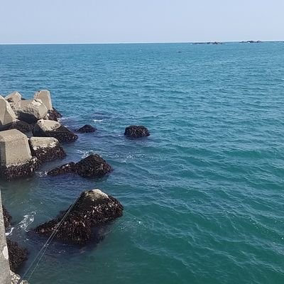 koumesanta's profile picture. 釣果とか適当に載せてます　甲殻類マスター希望