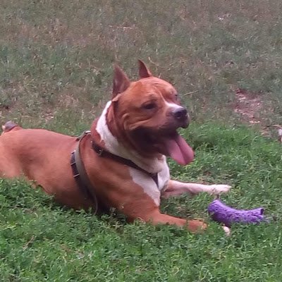 paevi41's profile picture. 