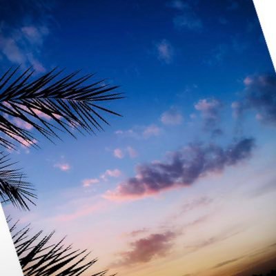 AbdoulieJaite12's profile picture. Stand for the weak the needy and the poor for a better world 
The struggle is too much but better days most come 
We will all live in the most favorable way