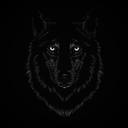 TheWvolf's profile picture. In search of truth and meaning