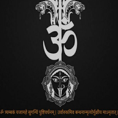 Loksaaa17's profile picture. CSE 💻