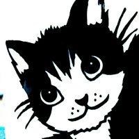 毎日がメイデック🐱🐱🐱 (@maydecmodel) 's Twitter Profile Photo 毎日がメイデック🐱🐱🐱 (@maydecmodel) 's Twitter Profile Photo