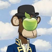 MSBDjombarky's profile picture. What do I do?..... Really, what do I do, I am asking!