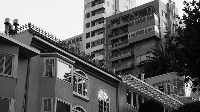 BasiliaBlakey's profile picture. 